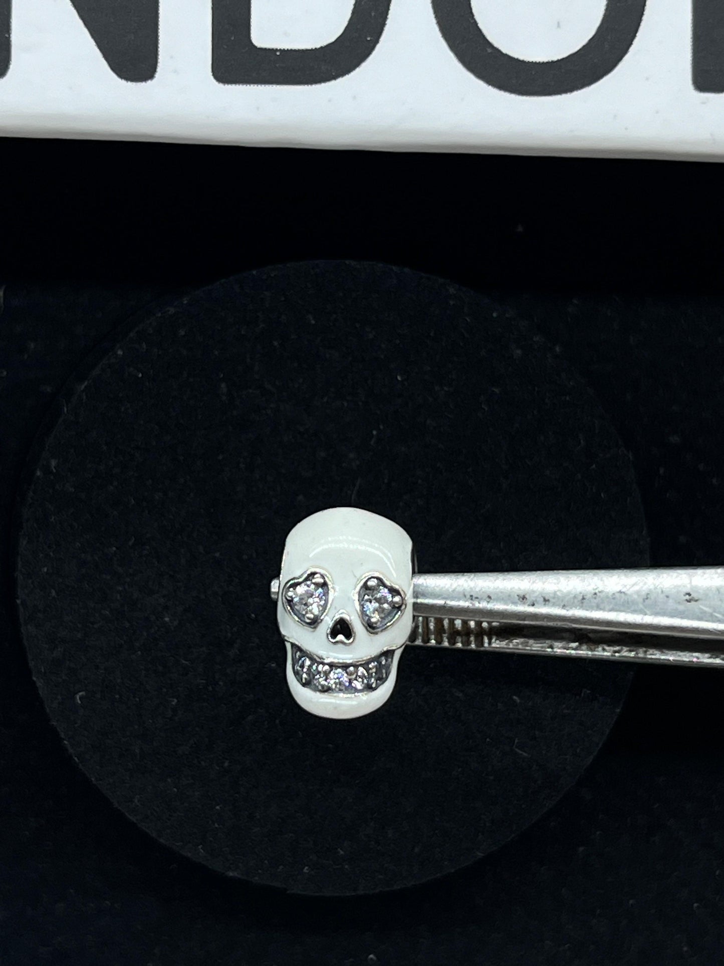 Skull Charm